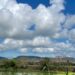AP weather report