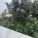 Andhra Pradesh lightning alert