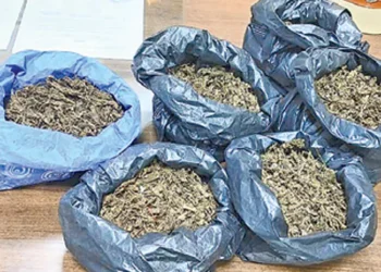 Drug Menace Continues in Guntur Despite Police Crackdown
