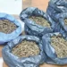 Drug Menace Continues in Guntur Despite Police Crackdown
