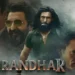 Dhurandhar Box Office