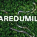 Maredumilli Alert: Police Warn Tourists Over Landmines