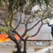 Firefighters battling massive fire at Nampally furniture shop in Hyderabad