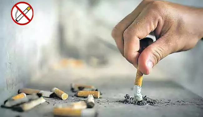 Tobacco and Pan Masala to Attract 40% GST from February 1