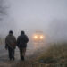 IMD Issues Five-Day Fog Alert for Coastal and Rayalaseema Regions of Andhra Pradesh