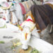 Tirupati to host Gopuja Mahotsavam at SV Gosala on Jan 16 with special pujas, rituals, cultural programmes and prasadam.