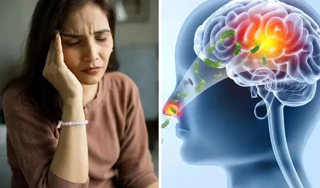 brain eating amoeba
