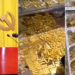 china corruption shocker: ex-mayor’s home hides 13.5 tonnes of gold, faces death penalty