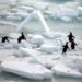 ocean warming reached record highs in 2025 as seas absorbed massive heat, worsening floods, droughts and climate risks worldwide.
