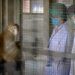 China faces a monkey shortage impacting medical research. Discover how this crisis affects drug trials and safety testing.