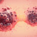 FMT capsules boosting immunity for lung and skin cancer patients