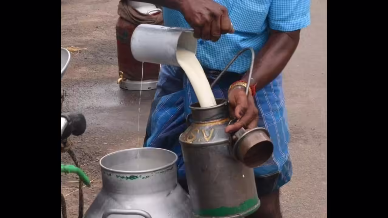 Milk death in Rajamahendravaram case sparks probe in East Godavari