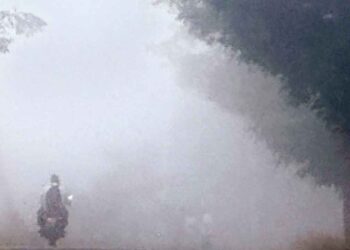 Dense fog covering roads and fields in Nellore district