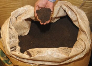 Seized adulterated tea powders in Andhra Pradesh market