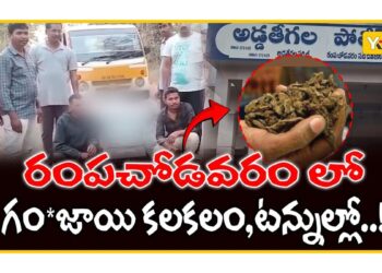 Police seizing cannabis and vehicles in Narsipatnam, Andhra Pradesh