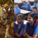 schools closed after tiger sighting near rajamahendravaram rural