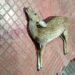 Leopard attack near Alipiri check post in Tirupati