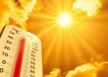 2025 Among Hottest Years Ever as Global Temperatures Rise