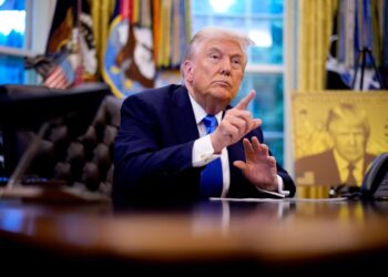 Donald Trump, US immigration policy, illegal immigrants, voluntary deportation,