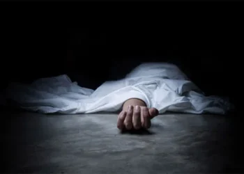 Pregnant Woman Dies After Walking 6 km for Delivery in Gadchiroli