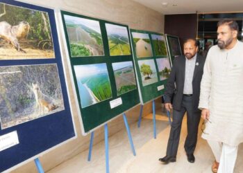 pawan kalyan says mangrove forests act as a protective wall and reveals 700 hectares of mangrove development in ap