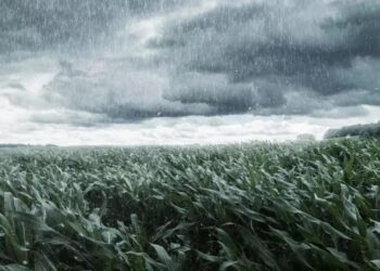low pressure in bay of bengal may bring light to moderate rain in coastal and rayalaseema districts of andhra pradesh from jan 9