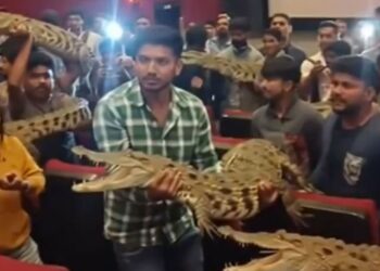 prabhas fans bring crocodile toys to theatres and recreate rajasaab climax scenes as viral videos spark ai debate
