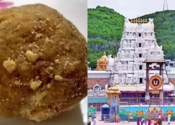 CBI investigation into Tirupati laddu ghee adulteration with synthetic ghee bottles