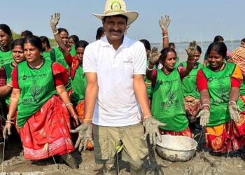 Mangrove plantation drive in Sundarbans for KCR birthday