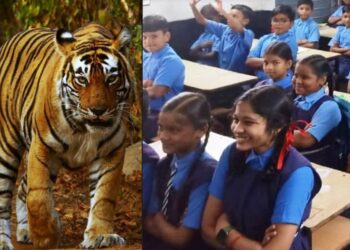 schools closed after tiger sighting near rajamahendravaram rural