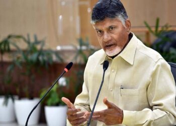 Chandrababu Naidu presenting Andhra Pradesh growth roadmap