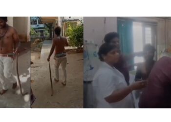 Nellore man holding dead venomous snake after hospital arrival